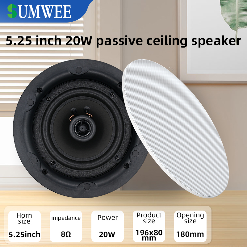 Audio Music In Background - 5.25 inch 8 ohm ceiling speaker