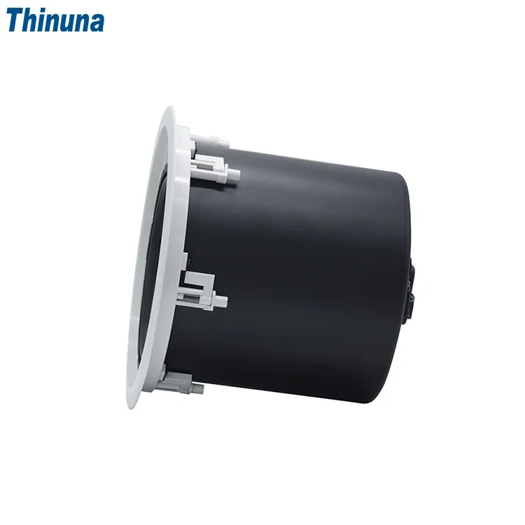 2025 Thinuna MS-10SUB-L II Hom - Audio Music In Background review and price