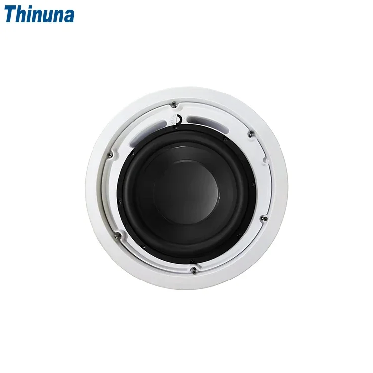 2025 Thinuna MS-10SUB-L II Hom - Audio Music In Background review and price
