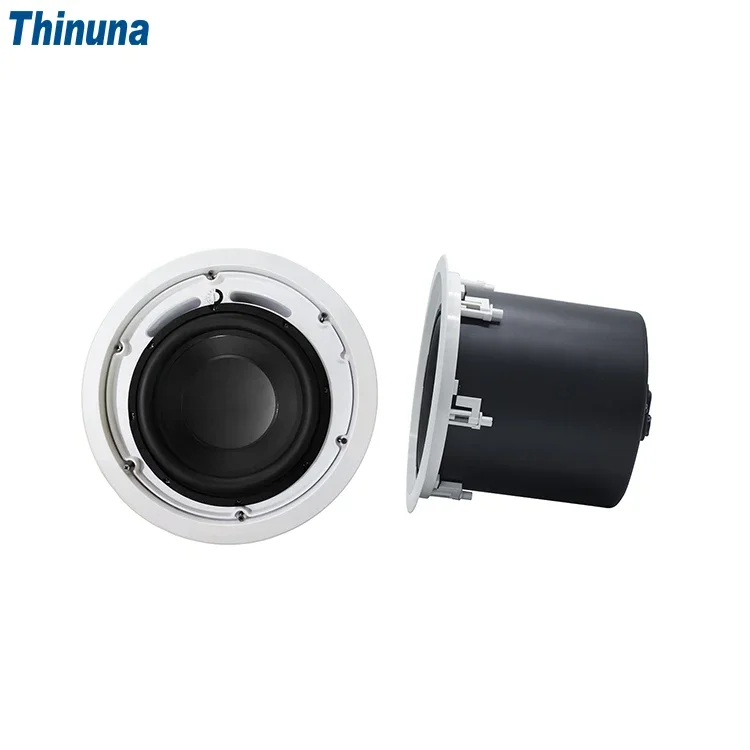 2025 Thinuna MS-10SUB-L II Hom - Audio Music In Background review and price