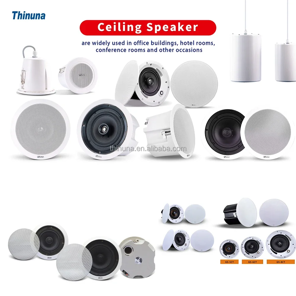 2025 Thinuna MS-10SUB-L II Hom - Audio Music In Background review and price