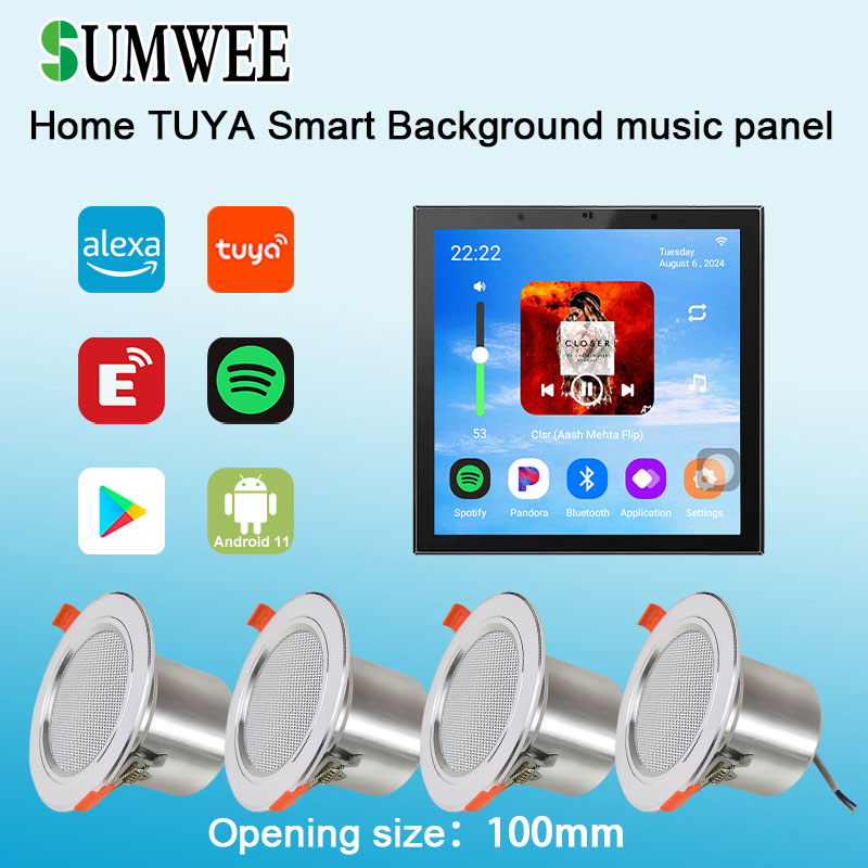 4 Inch Android 11 Tuya Smart H - Audio Music In Background review and price