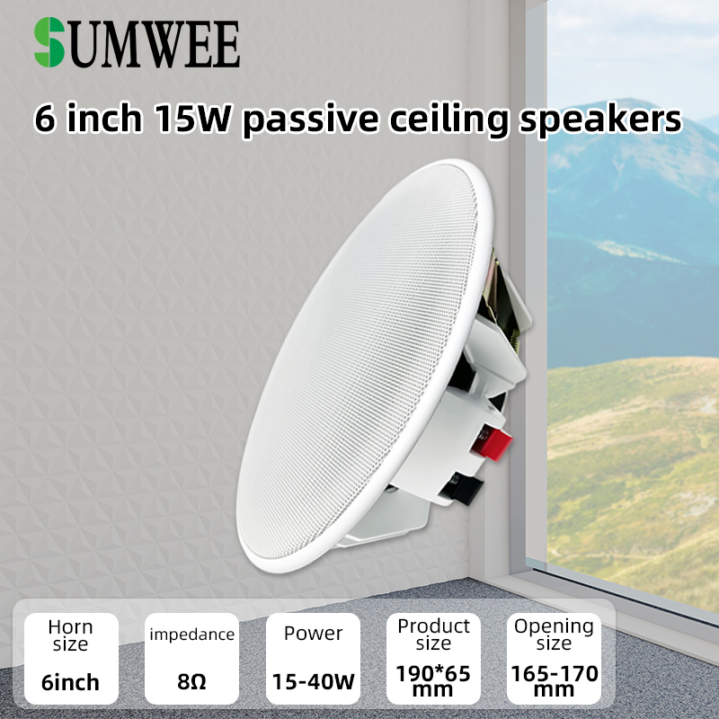 6 Inch 8ohm Ceiling Speaker Fu - Audio Music In Background review and price