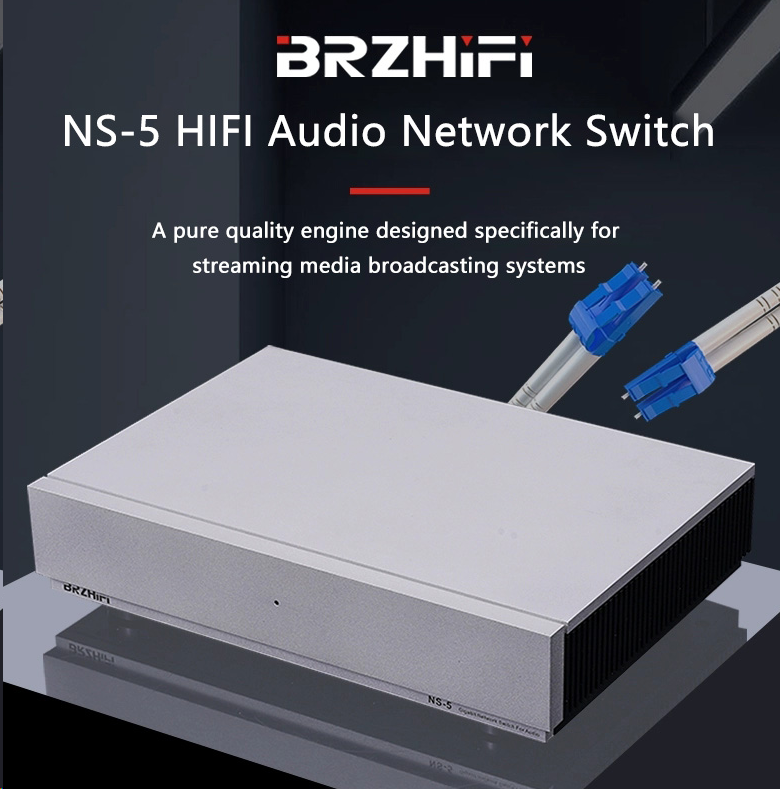 BRZHIFI Audio Network Switch N - Audio Music Enhancer review and price
