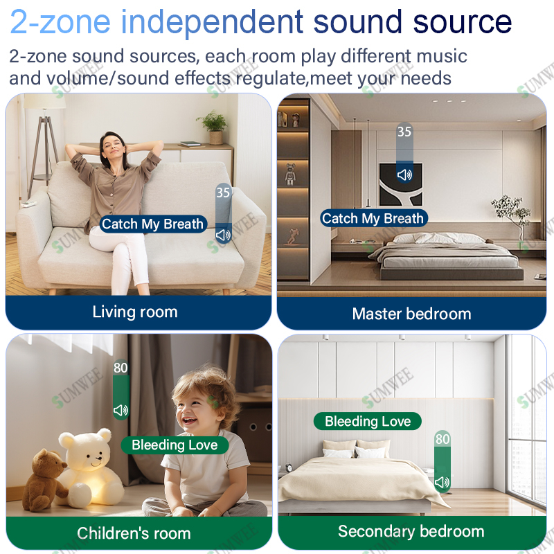 2zone audio in wall amplifier  - Audio Music In Background review and price