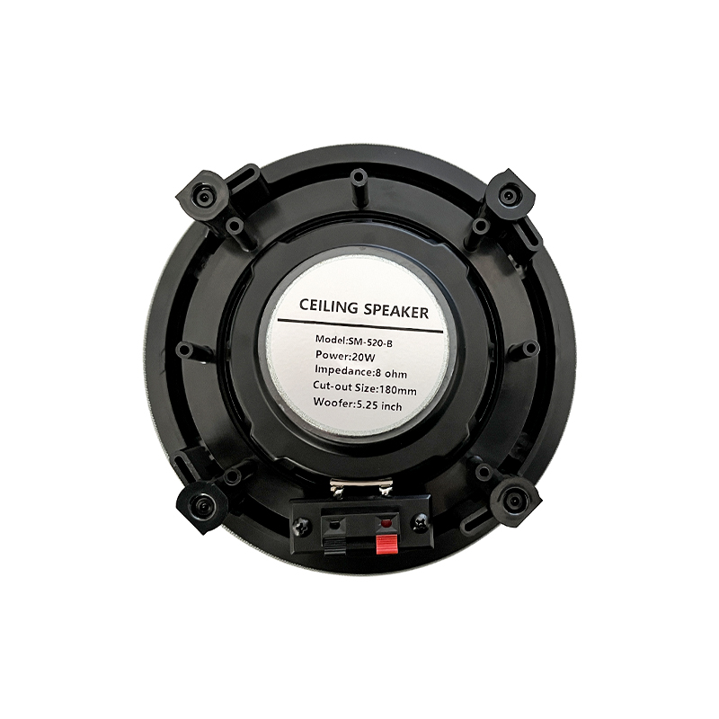 5.25 inch 8 ohm ceiling speake - Audio Music In Background review and price