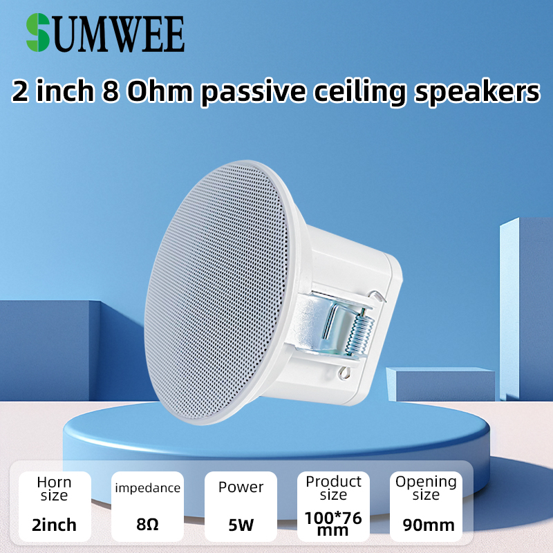 2Inch mini 8 ohm Ceiling Speak - Audio Music In Background review and price